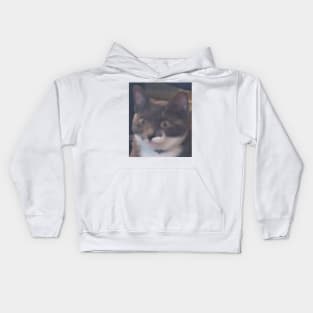 Shook Kids Hoodie